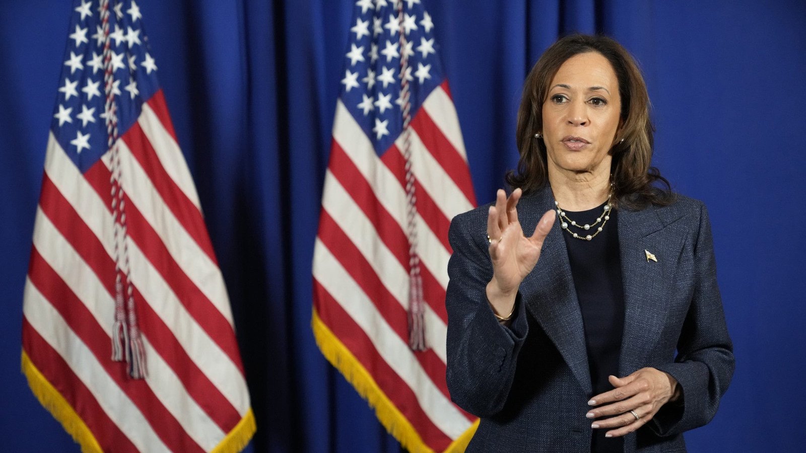 Harris resurrects ‘children of the community’ phrase during NYC book tour event