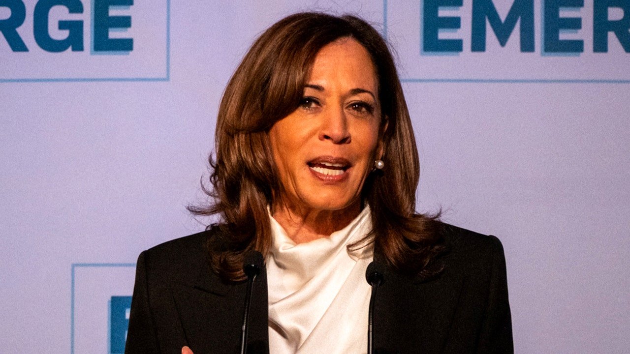 Kamala Harris indicates her answer on ‘The View’ hurt her presidential candidacy